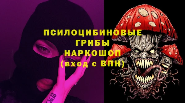 ГАЛЛЮЦИНОГЕННЫЕ ГРИБЫ Алексеевка